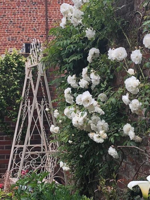 Luxury 2 Bed Georgian Townhouse, Old Portsmouth 빌라 외부 사진
